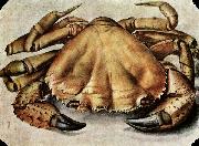 Albrecht Durer Lobster oil painting artist